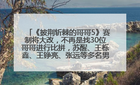 《披荆斩棘的哥哥5》赛制将大改，不再是找30位哥哥进行比拼，苏醒、王栎鑫、王铮亮、张远等多名男团选手被曝将参加