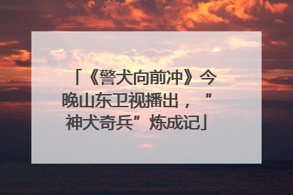 《警犬向前冲》今晚山东卫视播出，“神犬奇兵”炼成记