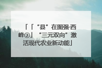 「“县”在图强·西峰②」“三元双向”激活现代农业新动能