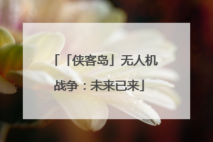 「侠客岛」无人机战争：未来已来