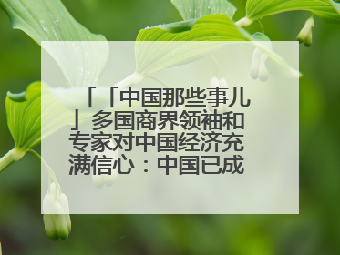 「中国那些事儿」多国商界领袖和专家对中国经济充满信心：中国已成为全球创新中心