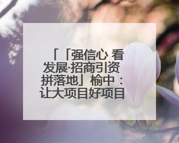 「强信心 看发展·招商引资拼落地」榆中：让大项目好项目落地见效