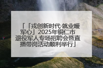「戎创新时代·就业暖军心」2025年铜仁市退役军人专场招聘会暨直播带岗活动顺利举行