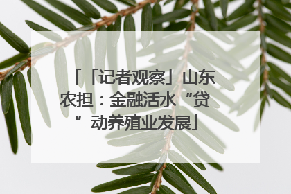「记者观察」山东农担：金融活水“贷”动养殖业发展
