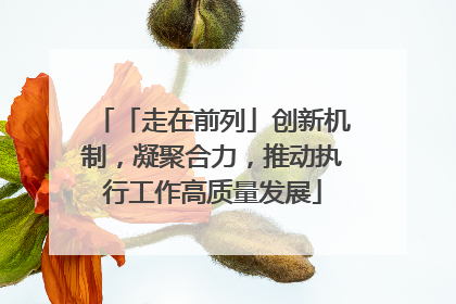 「走在前列」创新机制，凝聚合力，推动执行工作高质量发展