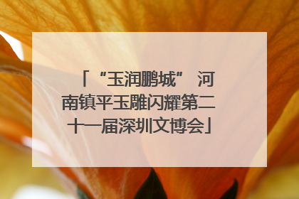 “玉润鹏城” 河南镇平玉雕闪耀第二十一届深圳文博会