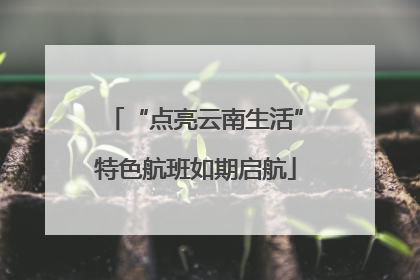 “点亮云南生活”特色航班如期启航