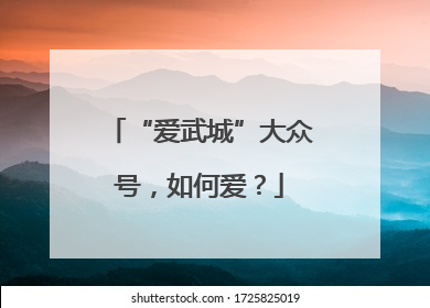 “爱武城”大众号，如何爱？