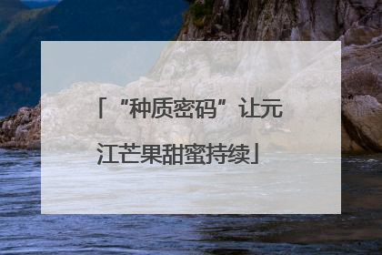 “种质密码”让元江芒果甜蜜持续