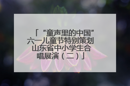 “童声里的中国”六一儿童节特别策划 山东省中小学生合唱展演（二）