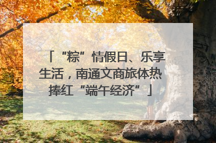 “粽”情假日、乐享生活，南通文商旅体热捧红“端午经济”