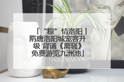 “粽”情洛阳丨隋唐洛阳城宠客升级 背诵《离骚》免费游览九洲池