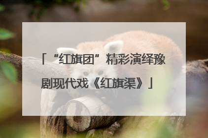“红旗团”精彩演绎豫剧现代戏《红旗渠》