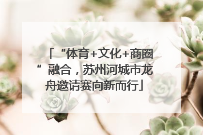 “体育+文化+商圈”融合，苏州河城市龙舟邀请赛向新而行
