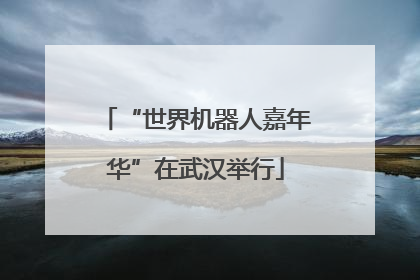 “世界机器人嘉年华”在武汉举行
