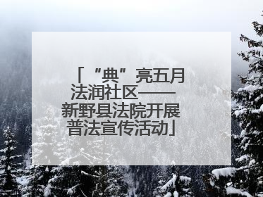 “典”亮五月 法润社区——新野县法院开展普法宣传活动