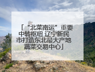 “北菜南运”重要中转枢纽 辽宁新民市打造东北最大产地蔬菜交易中心