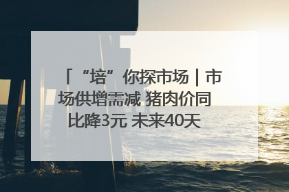 “培”你探市场｜市场供增需减 猪肉价同比降3元 未来40天便宜猪肉敞开吃
