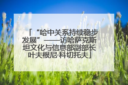 “哈中关系持续稳步发展”——访哈萨克斯坦文化与信息部副部长叶夫根尼·科切托夫