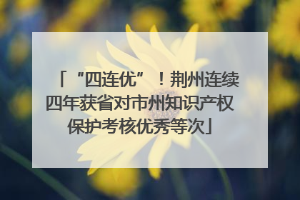 “四连优”！荆州连续四年获省对市州知识产权保护考核优秀等次