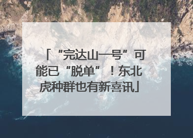“完达山一号”可能已“脱单”！东北虎种群也有新喜讯