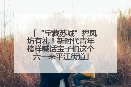 “宝藏苏城”碧凤坊有礼！新时代青年榜样喊话宝子们这个六一来平江街道