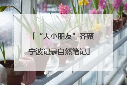 “大小朋友”齐聚宁波记录自然笔记