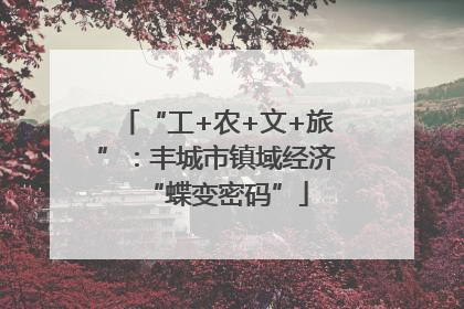 “工+农+文+旅”：丰城市镇域经济“蝶变密码”