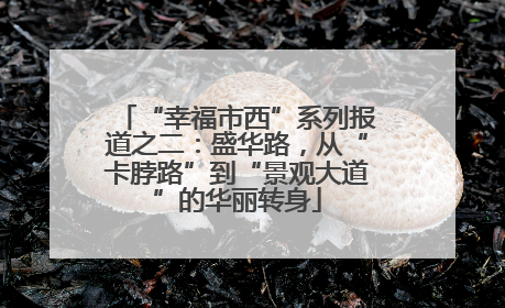 “幸福市西”系列报道之二：盛华路，从“卡脖路”到“景观大道”的华丽转身