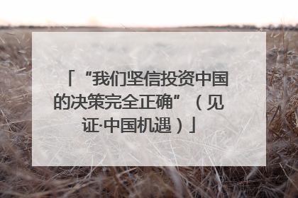 “我们坚信投资中国的决策完全正确”（见证·中国机遇）