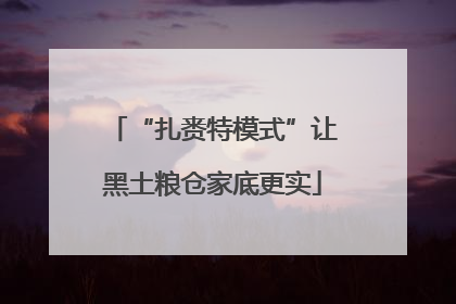 “扎赉特模式”让黑土粮仓家底更实
