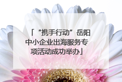 “携手行动”岳阳中小企业出海服务专项活动成功举办