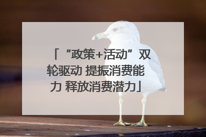 “政策+活动”双轮驱动 提振消费能力 释放消费潜力