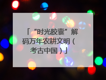 “时光胶囊”解码万年农耕文明（考古中国）