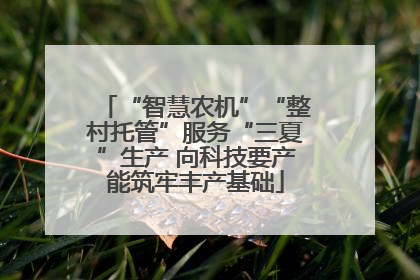 “智慧农机”“整村托管”服务“三夏”生产 向科技要产能筑牢丰产基础