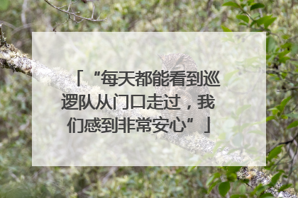 “每天都能看到巡逻队从门口走过，我们感到非常安心”
