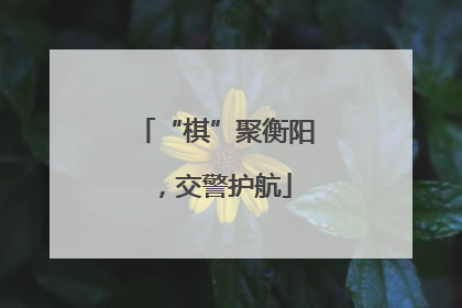 “棋”聚衡阳，交警护航