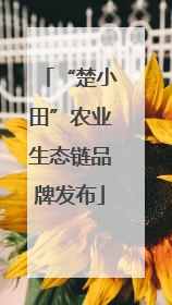 “楚小田”农业生态链品牌发布