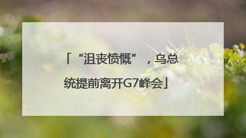 “沮丧愤慨”，乌总统提前离开G7峰会
