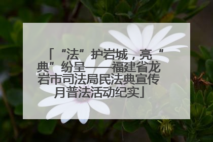 “法”护岩城，亮“典”纷呈——福建省龙岩市司法局民法典宣传月普法活动纪实