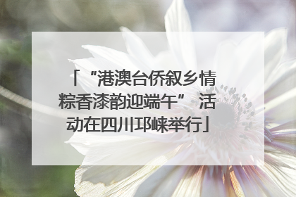 “港澳台侨叙乡情 粽香漆韵迎端午” 活动在四川邛崃举行