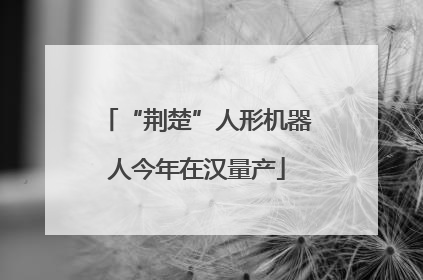 “荆楚”人形机器人今年在汉量产