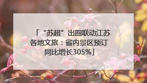 “苏超”出圈联动江苏各地文旅：省内景区预订同比增长305%