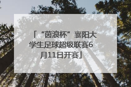 “茵浪杯”襄阳大学生足球超级联赛6月11日开赛