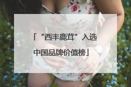 “西丰鹿茸”入选中国品牌价值榜