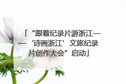 “跟着纪录片游浙江——‘诗画浙江’文旅纪录片创作大会”启动