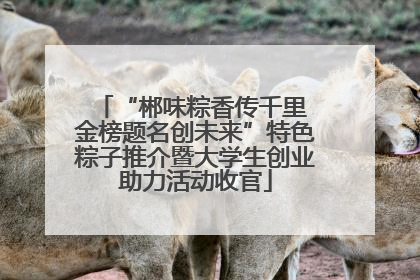 “郴味粽香传千里 金榜题名创未来”特色粽子推介暨大学生创业助力活动收官