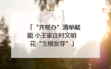 “齐帮办”清单赋能 小王家庄村文明花“生根发芽”