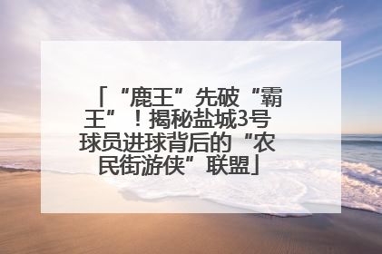 “鹿王”先破“霸王”！揭秘盐城3号球员进球背后的“农民街游侠”联盟