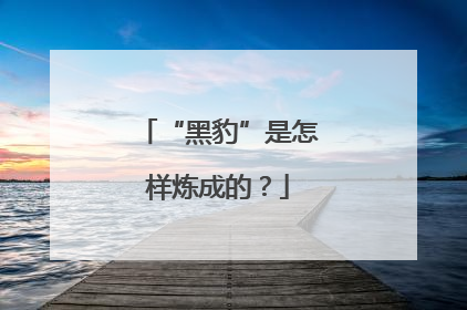 “黑豹”是怎样炼成的？